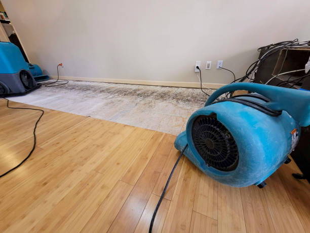 Professional Emergency Water Damage technician working in Whitehall, WI